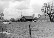 841049 Gezicht op het weiland naast de boerderij Overeind 47 te Schalkwijk (gemeente Houten).